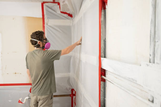 Best Post-Construction Mold Inspection  in Nederland, CO