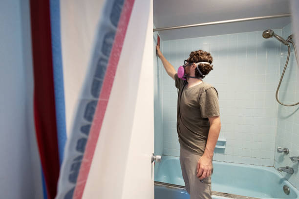 Best Mold Damage Restoration  in Nederland, CO