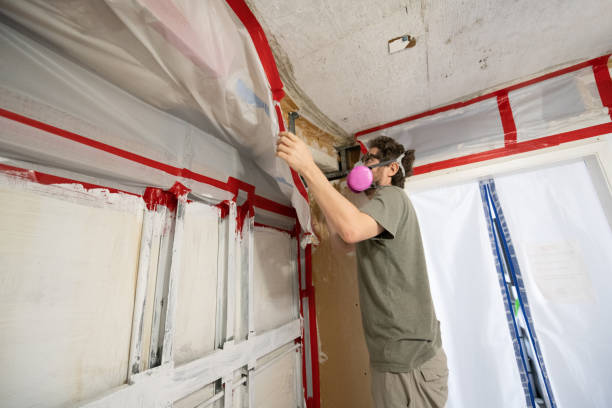 Asbestos and Lead Testing During Mold Inspection in Nederland, CO